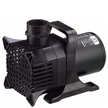EcoMax P 15.000